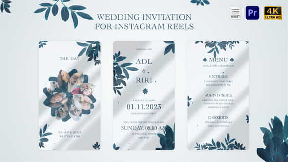Wedding Invitation - VideoHive 46566719