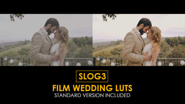 Slog3 Film Wedding - VideoHive 39803949