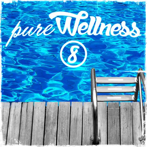 VA - Andorfine Germany - Pure Wellness 8 (2019)