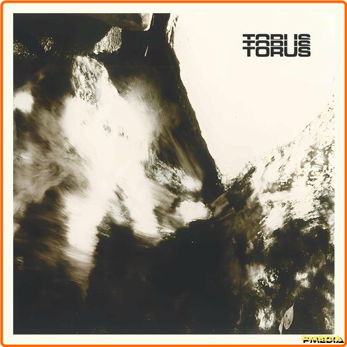 Torus Torus (2024) [320 Kbps] ELKbQX3I_o