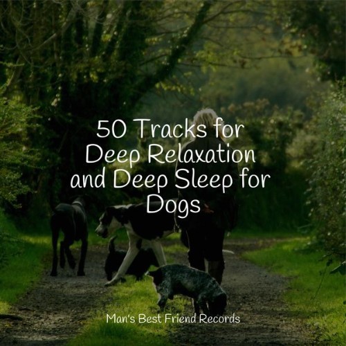 Relaxation Music For Dogs - 50 Tracks for Deep Relaxation and Deep Sleep for Dogs - 2022