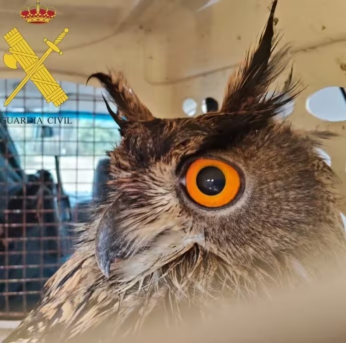 Foto cedida por Guardia Civil