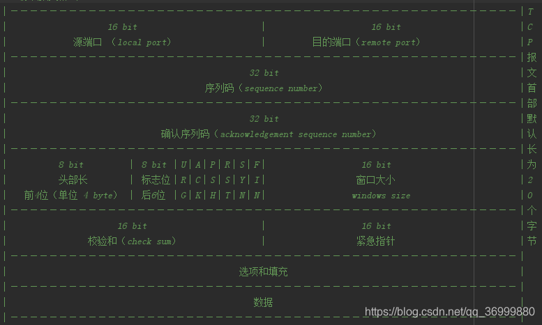 TCP报文格式