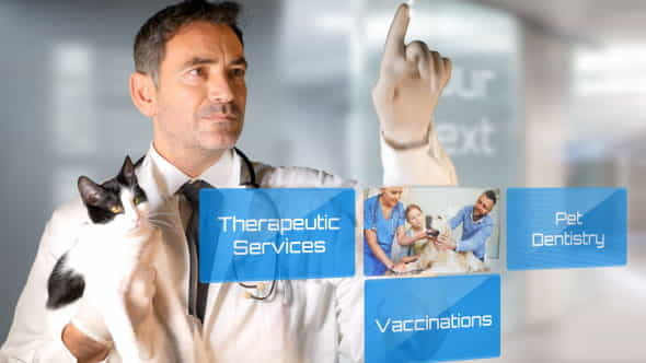 Vet Clinic - - VideoHive 19675404