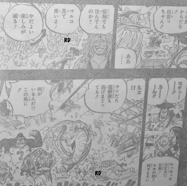Spoiler One Piece Chapter 965 Spoilers Discussion Page 50 Worstgen