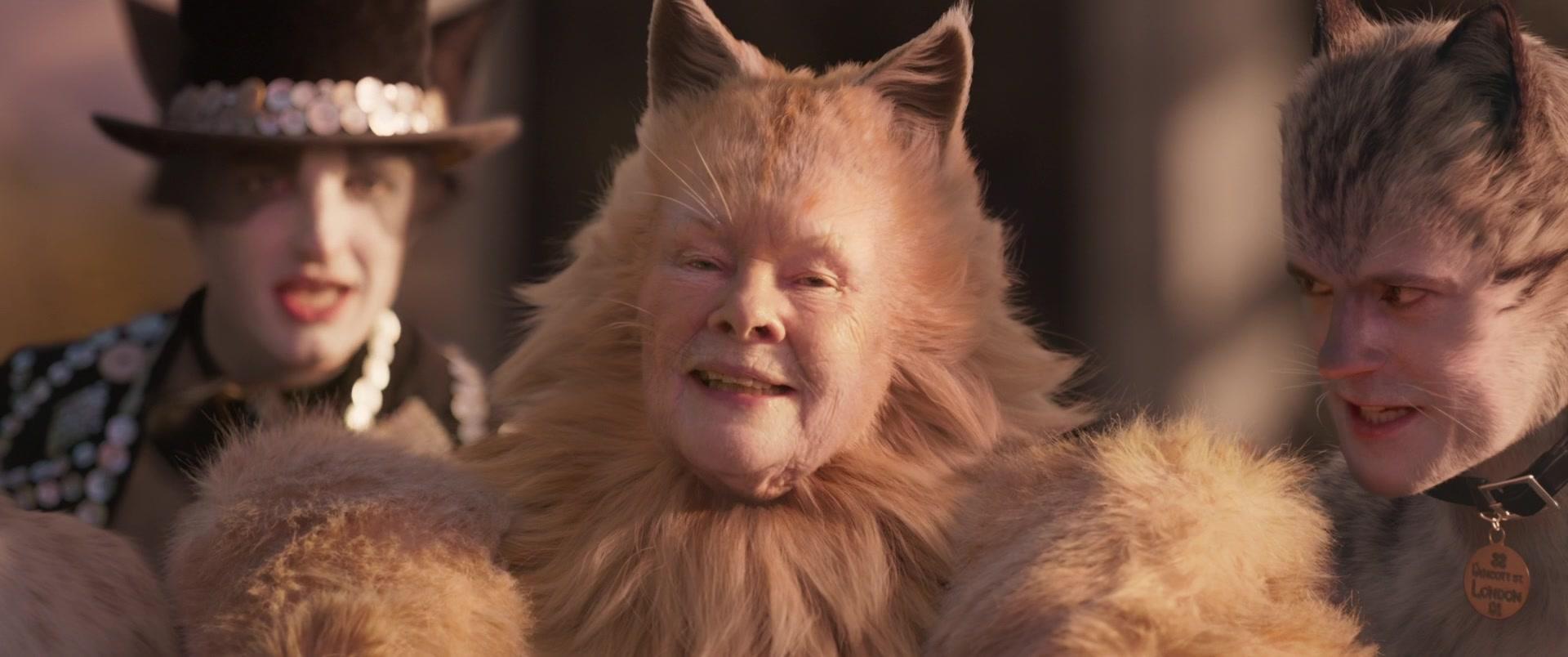 Cats 2020 1080p Bluray Atmos TrueHD 7 1 x264-EVO Cats 2020 1080p Bluray Atmos TrueHD 7 1 x264-EVO