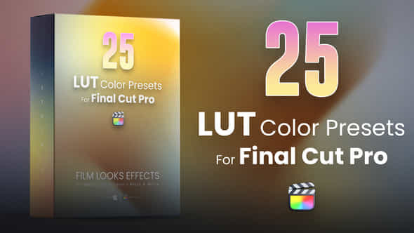 25 LUTs pack - VideoHive 43129044