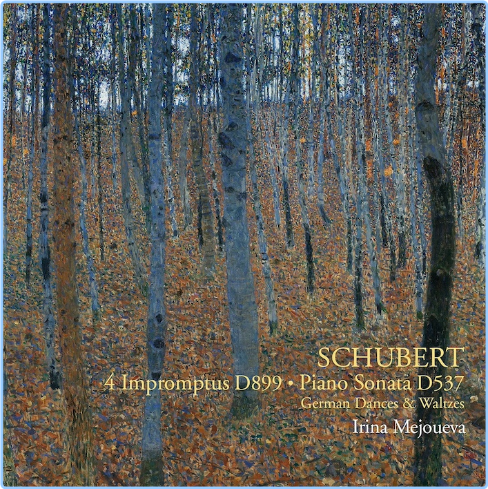 Schubert 4 Impromptus D 899, Piano Sonata D 537 Irina Mejoueva (2021) 24 96 7yCxJLb9_o