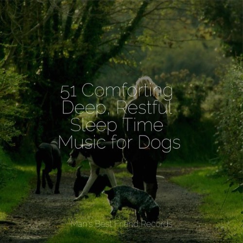 Official Pet Care Collection - 51 Comforting Deep, Restful Sleep Time Music for Dogs - 2022