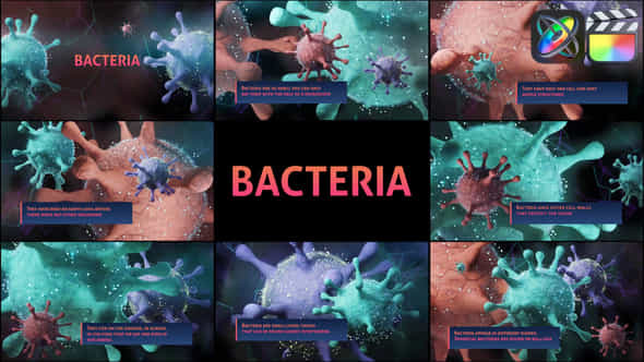 Bacteria - VideoHive 44391573