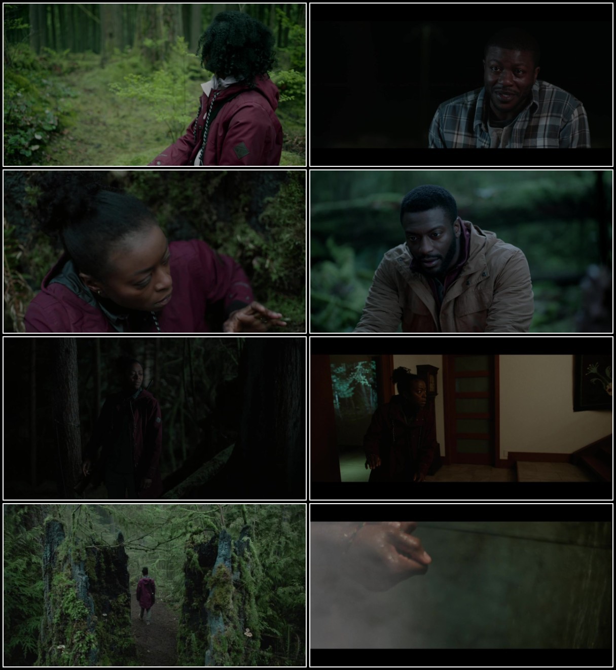 Parallel (2024) 720p WEBRip x265-PROTON LQVZIwtq_o