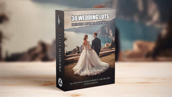 Top 30 Professional Cinematic Wedding Luts For Wedding Filmmakers Part 9 - VideoHive 49661809