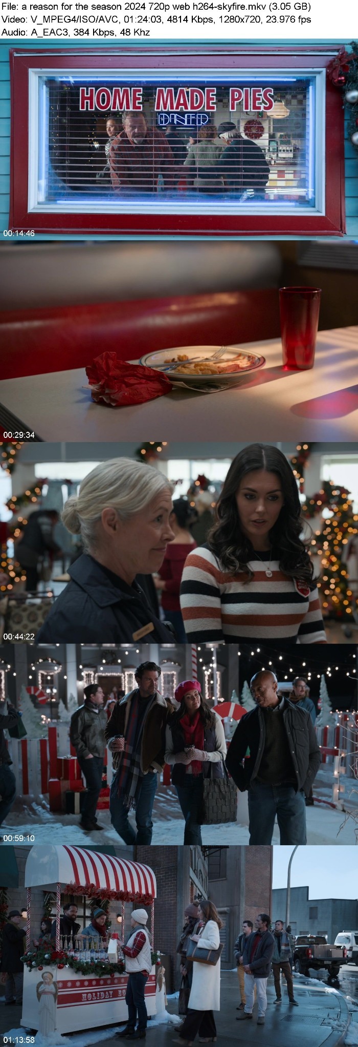 A Reason For The Season (2024) 720p WEB H264-SKYFiRE