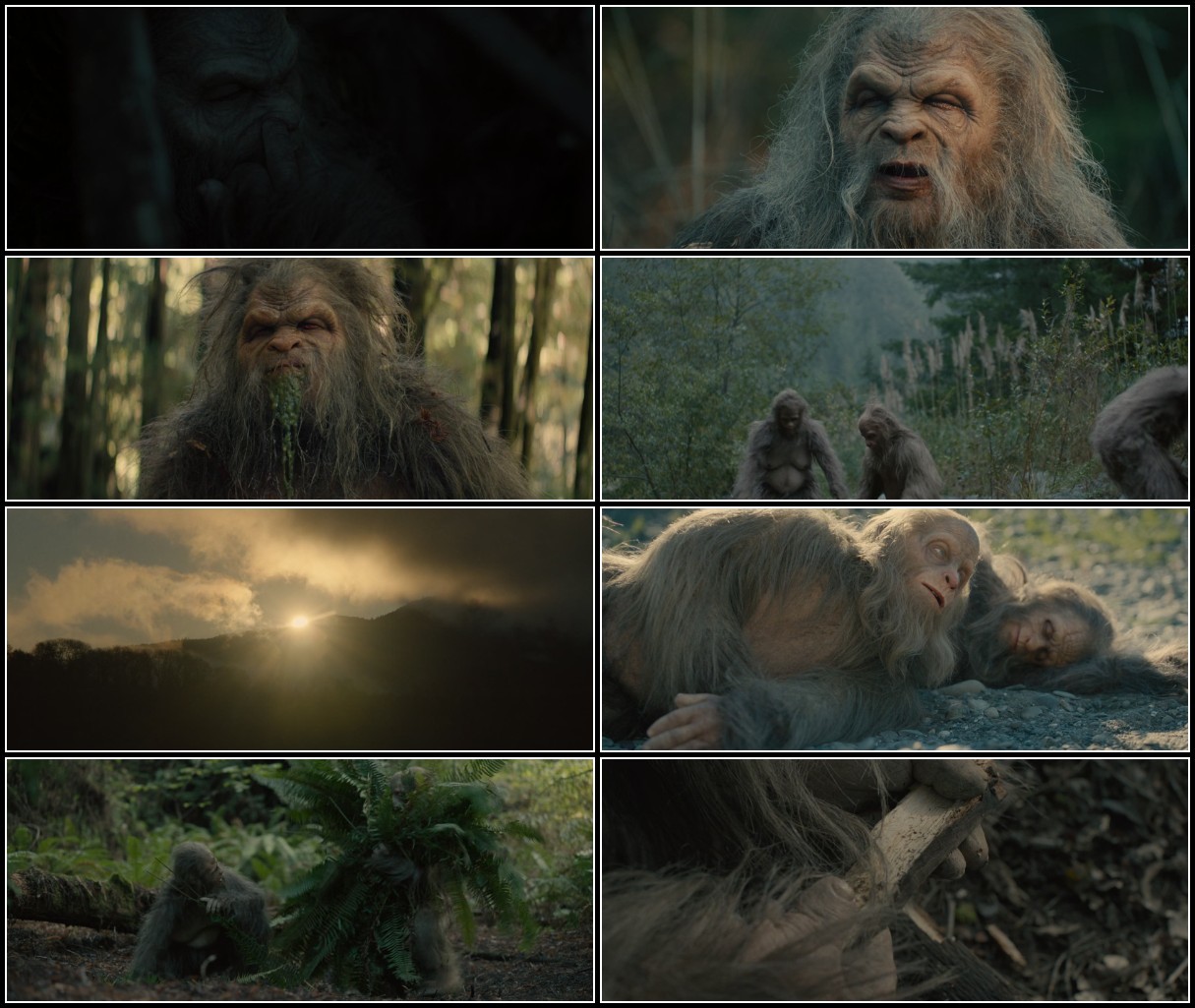 Sasquatch Sunset (2024) 1080p [WEBRip] [x265] [10bit] 5.1 YTS UsNkonIh_o