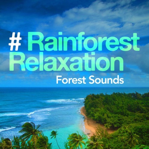 Forest Sounds - # Rainforest Relaxation - 2019