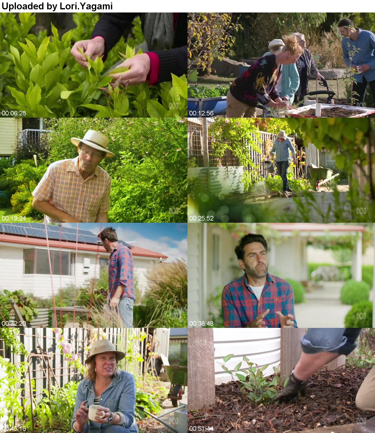 Gardening Australia S30E39 IV WEB DL AAC2 0 x264 D1