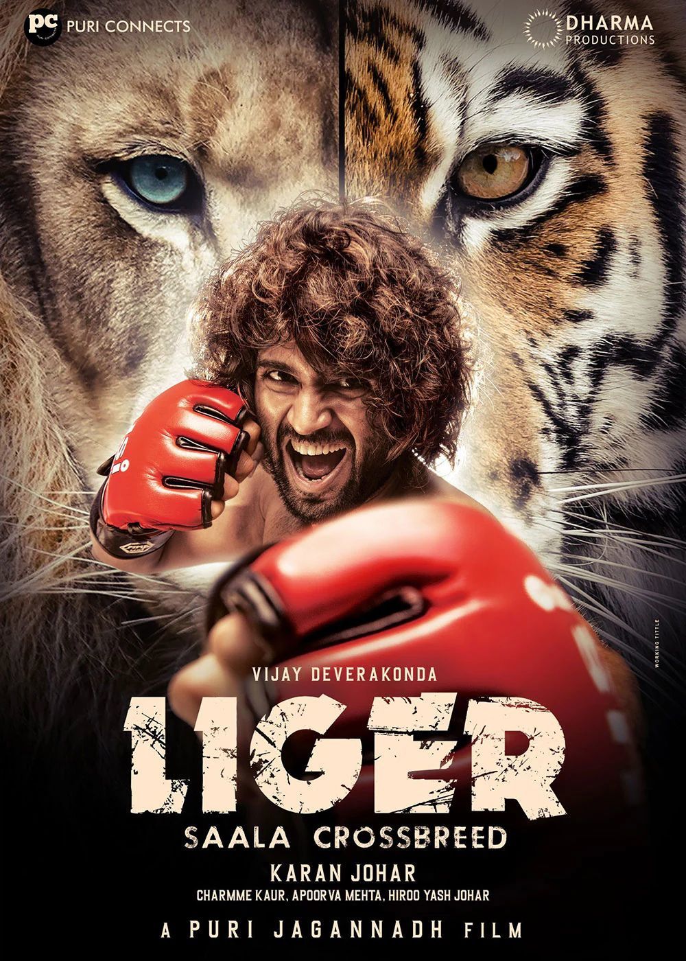 Liger 2025 Hindi Dubbed Movie ORG 720p WEBRip 1Click Download