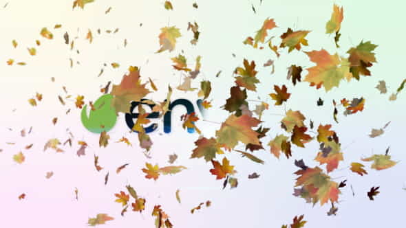 Maple Leaves Logo Reveal - VideoHive 9572555