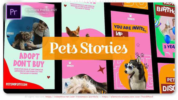 Pets Instagram Stories - VideoHive 46160743