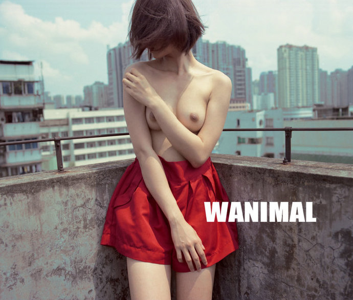 Wangyong Wanimal Palace Great Wall Model Zhang Jianling's human body picture 4