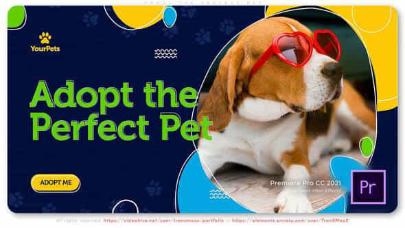 Adopt the Perfect - VideoHive 37397475