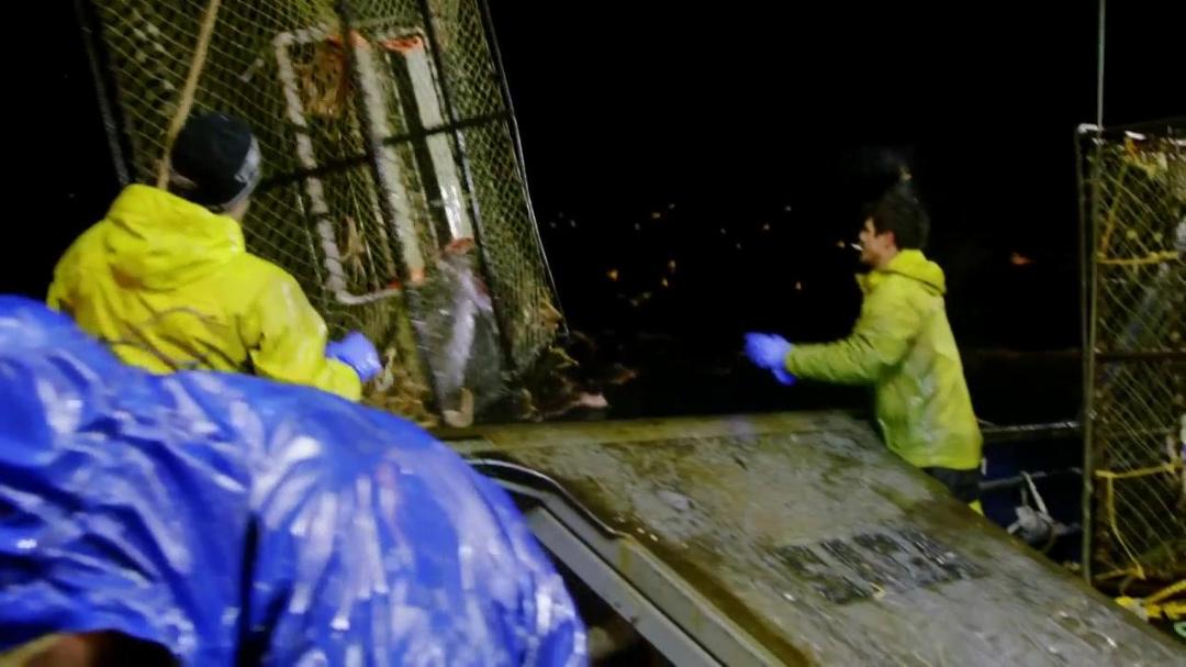 Deadliest Catch S16E18 Like Father Like Daughter 720p WEB h264-ROBOTS Deadliest Catch S16E18 Like Father Like Daughter 720p WEB h264-ROBOTS