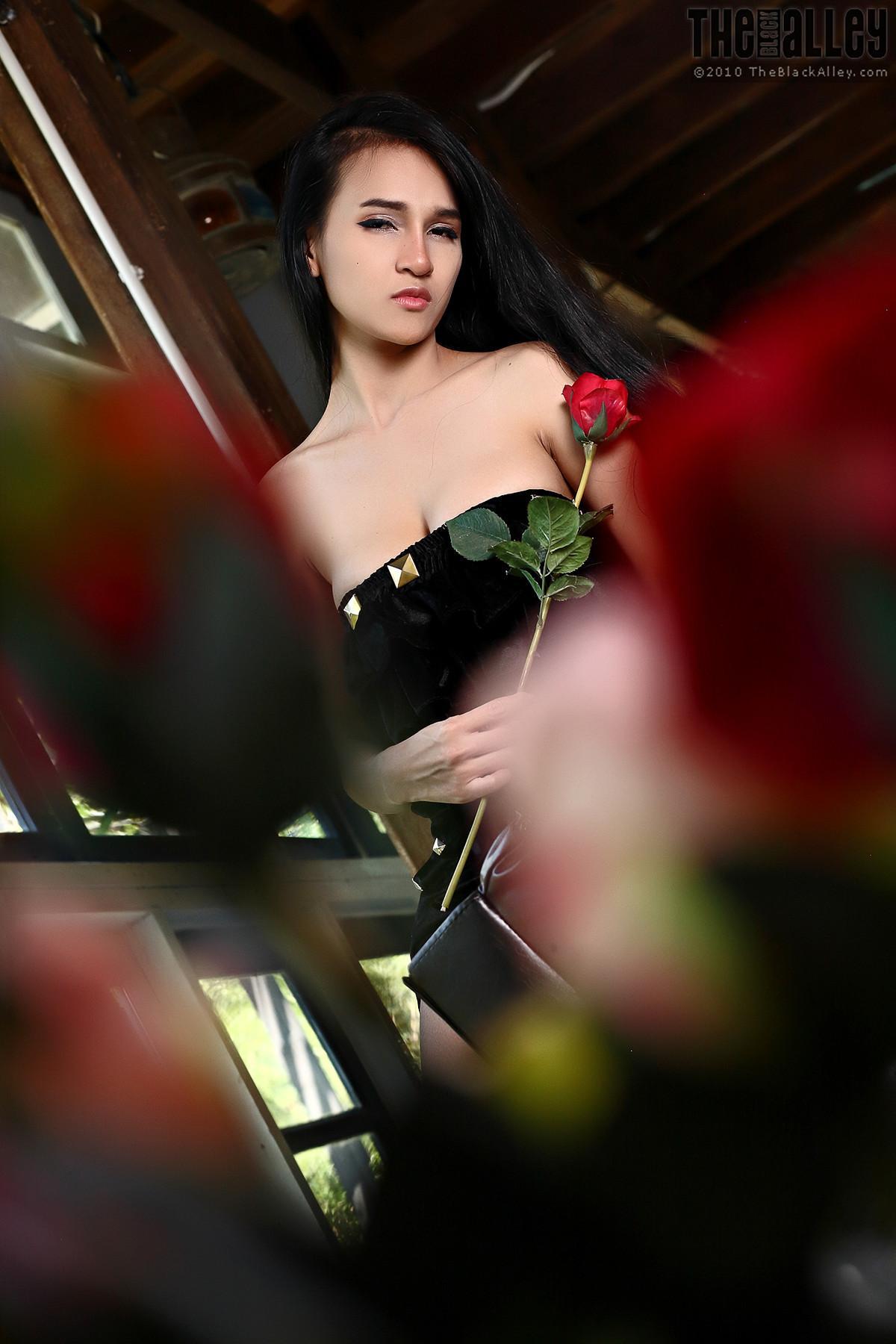 Ginny The Black Alley Photobook Set.12(11)
