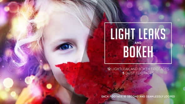 Bokeh and Lightleak - VideoHive 24679277