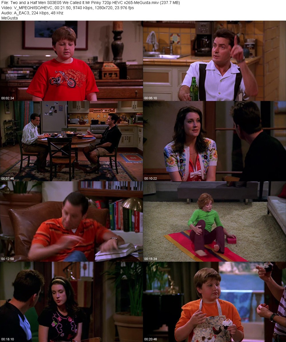 Two and a Half Men S03E05 We Called It Mr Pinky 720p HEVC x265-MeGusta