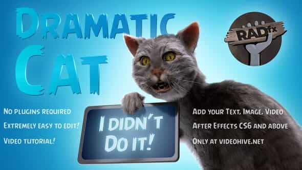 Funny Dramatic Cat - VideoHive 25771871