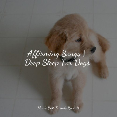 Sleep Music For Dogs - Affirming Songs  Deep Sleep For Dogs - 2022