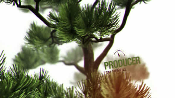 About Us Bonsai - VideoHive 20516636