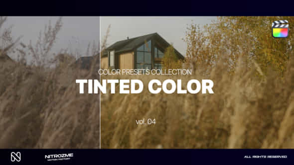 Tinted LUT Collection - VideoHive 46804175