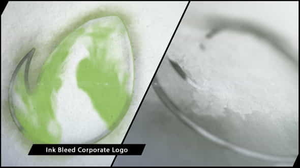 Ink Bleed Corporate Logo - VideoHive 13368103