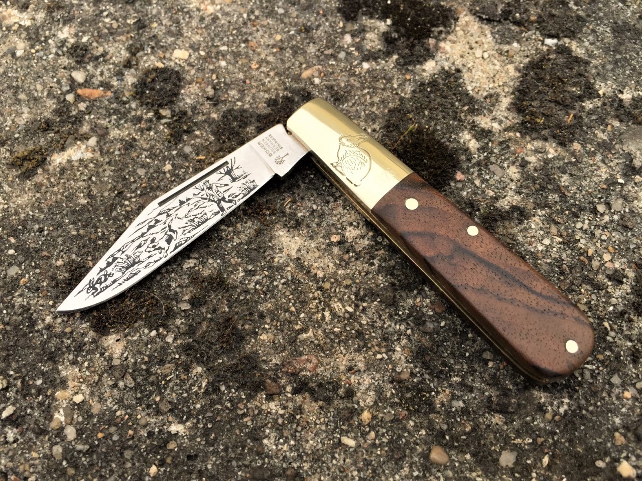 mKp1SZ0j_o.jpg