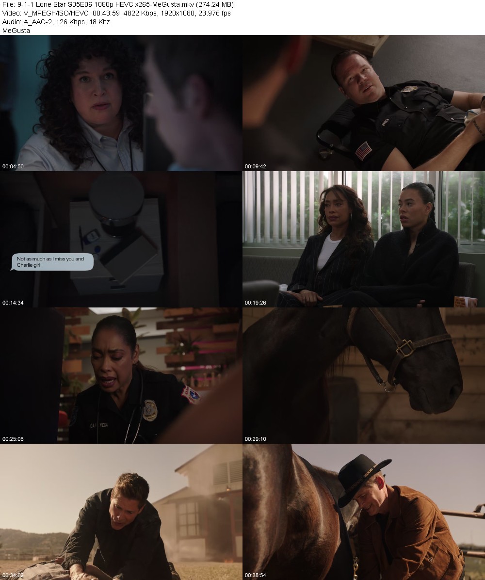 9-1-1 Lone Star S05E06 1080p HEVC x265-MeGusta