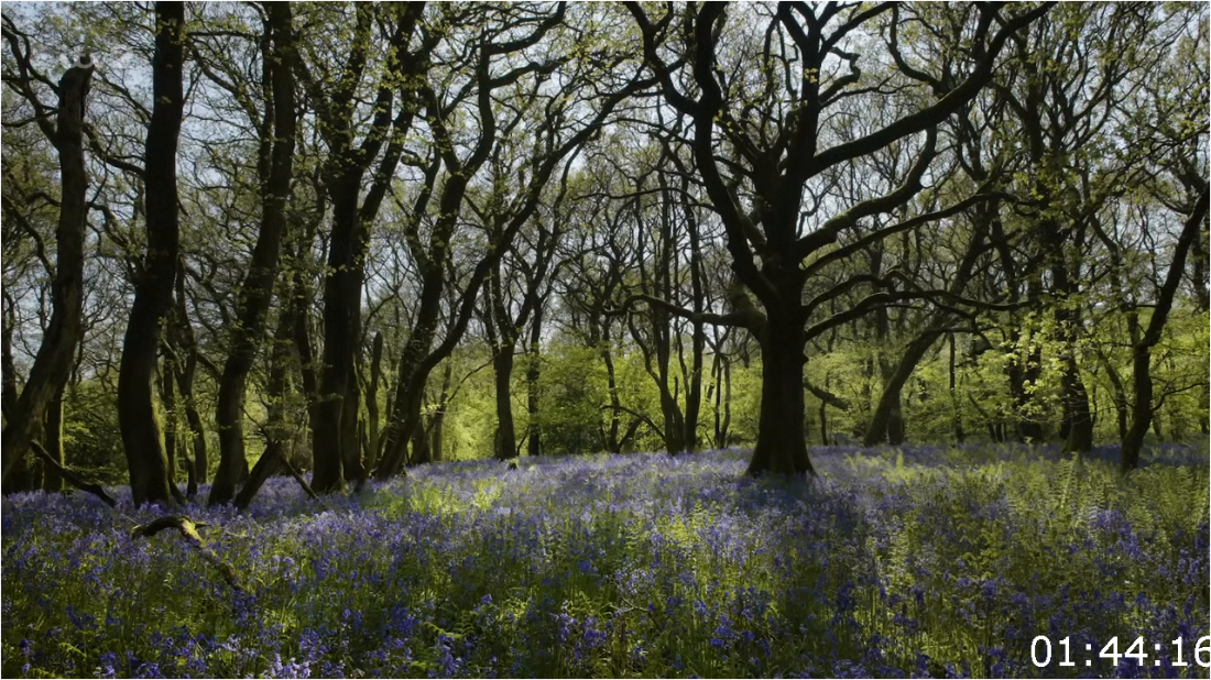 ITV Unwind Hope Cove Devon [720p] HDTV (x265) LqClD6tx_o