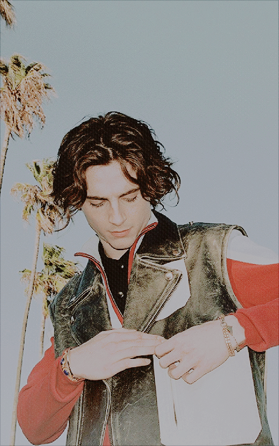 timothée chalamet (avatars) IHbpRCOH_o