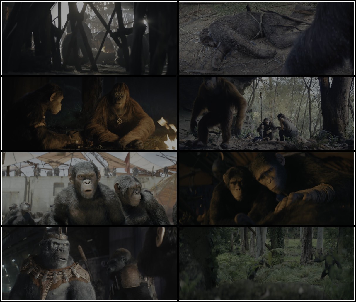 Kingdom Of The Planet Of The Apes (2024) 1080p WEB-DL HEVC x265 10Bit DDP5 1 Subs ... AFMUfCYS_o