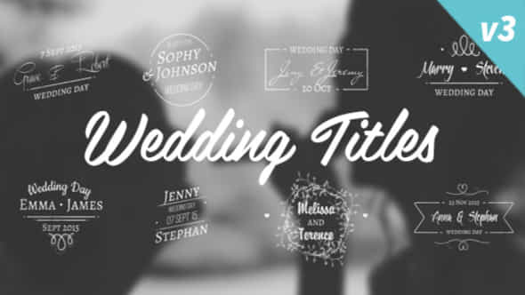 Wedding Titles - VideoHive 12263510