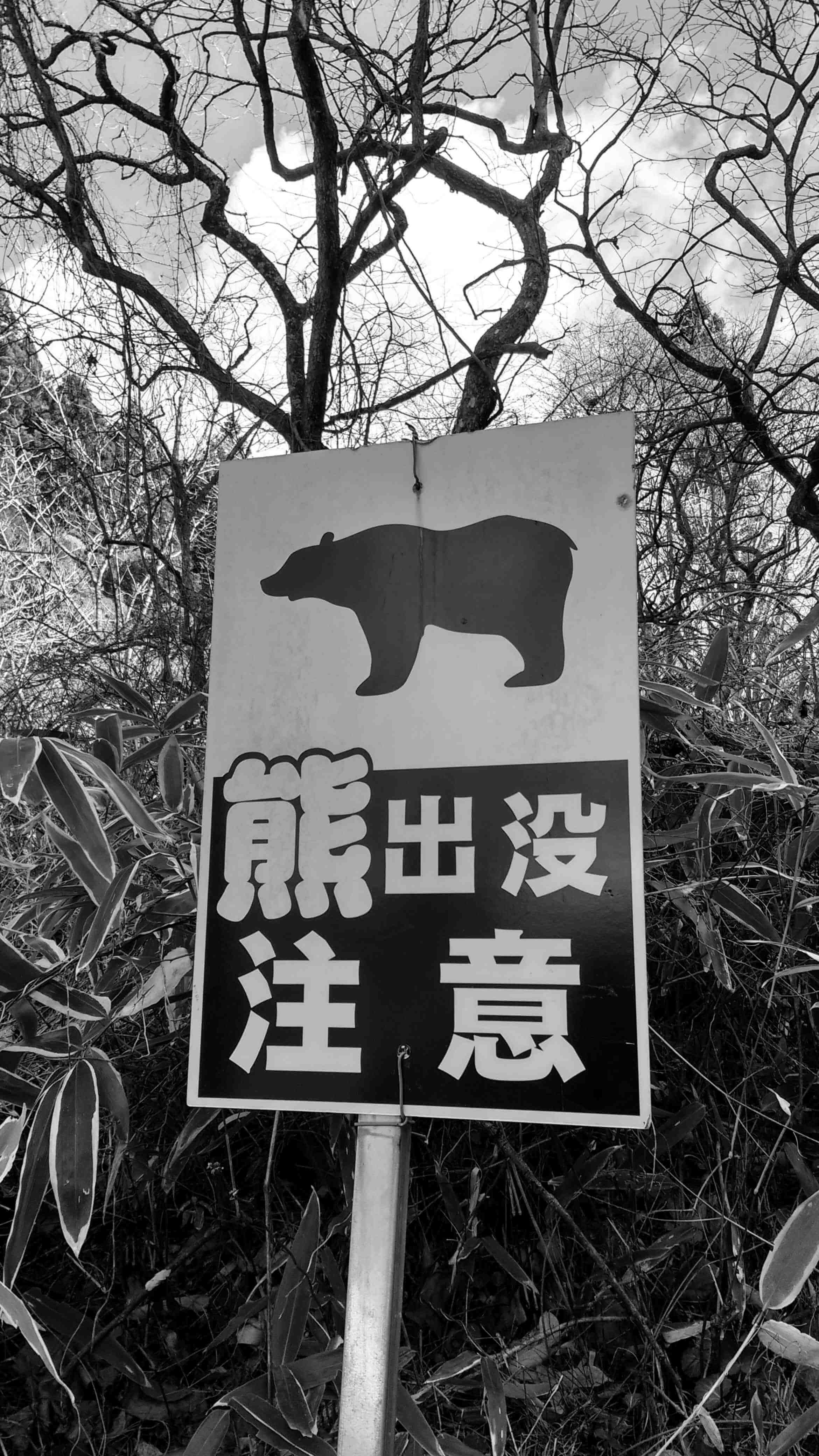 A sign warning about bears
