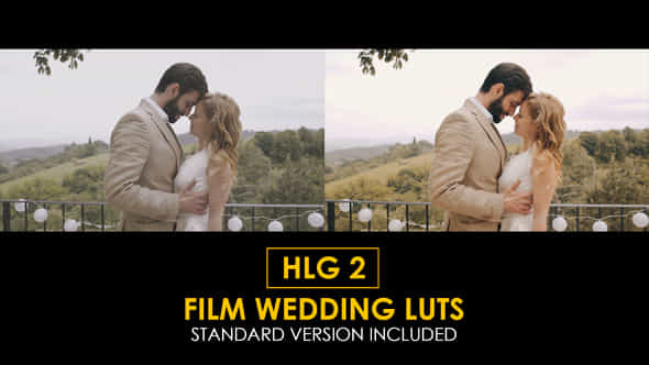 HLG2 Film Wedding - VideoHive 40062692