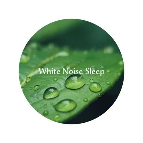 White Noise Sleep Rain Sounds ASMR - 2021