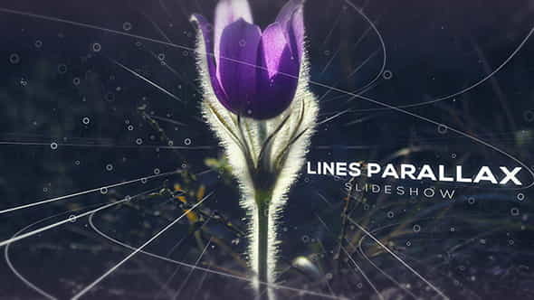 Lines Parallax Slideshow - VideoHive 19209185