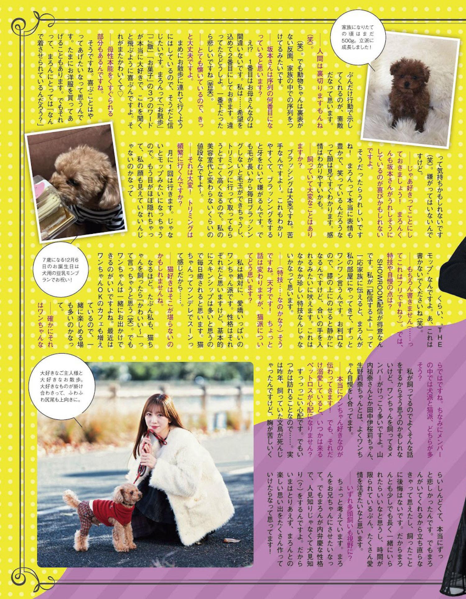 AKB48 NMB48 HKT48, Ex-Taishu 2024.03 (EX大衆 2024年3月号)(9)