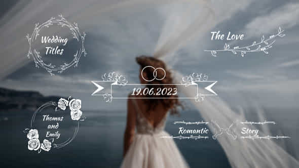 Minimal Wedding Titles - VideoHive 49483323