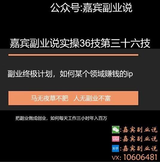 嘉宾副业说实操36技第三十六技副业终身计划，把副业做成创业如何做某个领域的赚钱IP