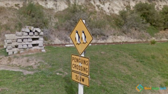 FOUND ON GOOGLE MAPS 1yENJ3bQ_o