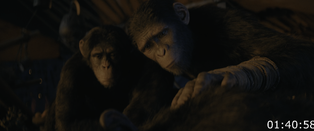 Kingdom Of The Planet Of The Apes (2024) [4K] WEBrip (x265) [6 CH] ZAaiW3bL_o