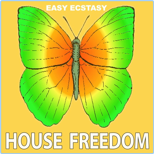 21 ROOM Easy EcstasyRemastered (2024) WEB [FLAC] 16BITS 44 1KHZ OXuewAUL_o